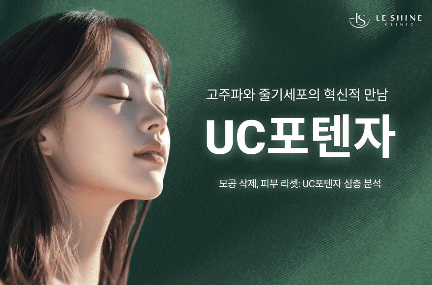 <br />
<b>Warning</b>:  Undefined variable $title in <b>/home/blog.leshine.co.kr/tag/list.php</b> on line <b>87</b><br />
